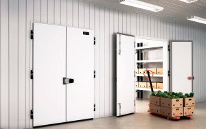 Холодильные двери в Саранске